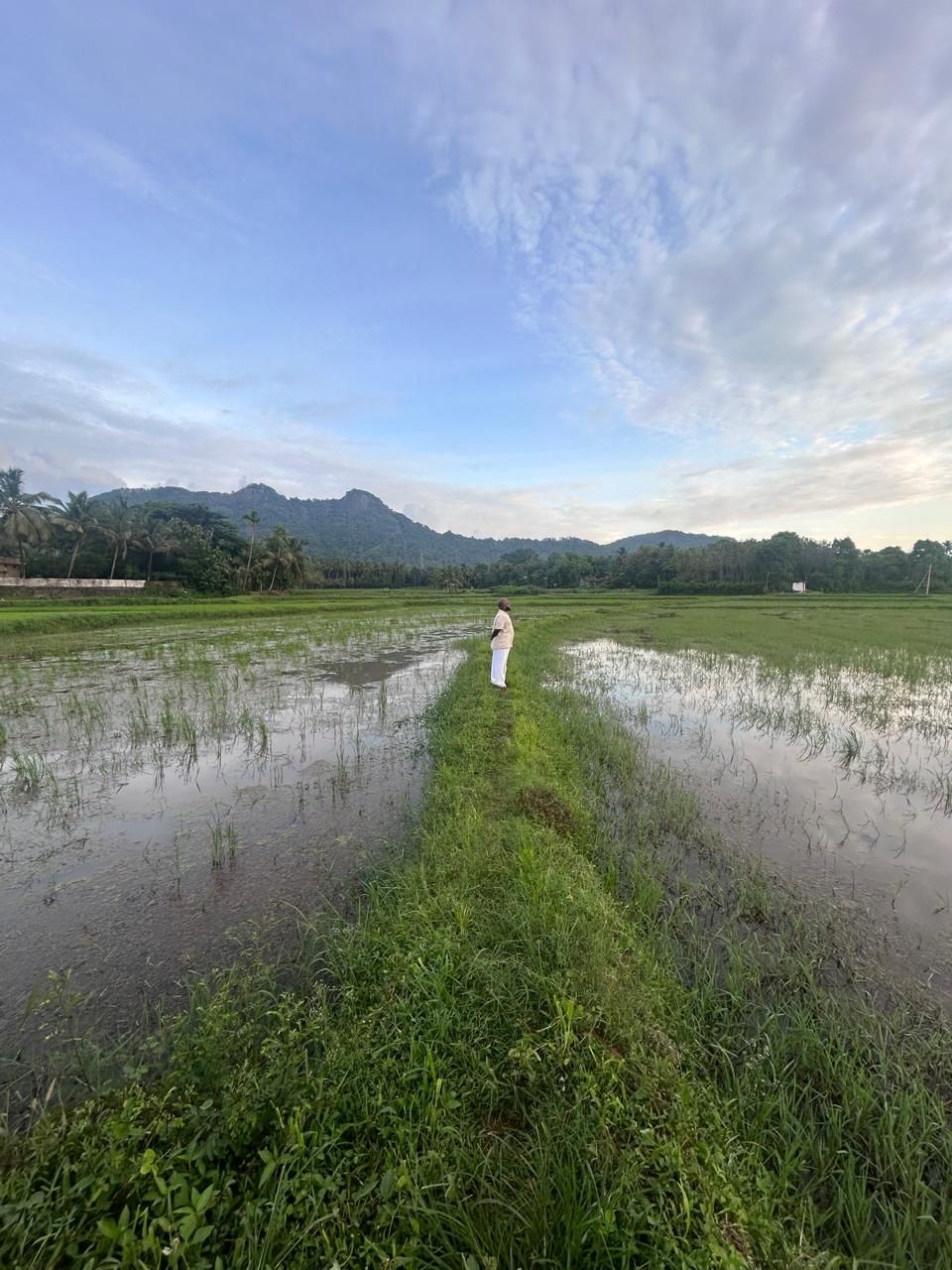 Ayalur, Palakkad